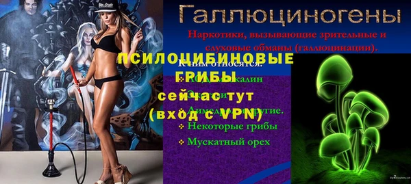 экстази Гусев