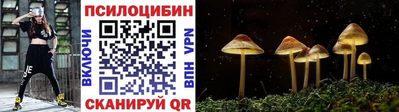 дарк нет наркотические препараты  даркнет сайт  Нязепетровск  Галлюциногенные грибы Magic Shrooms 